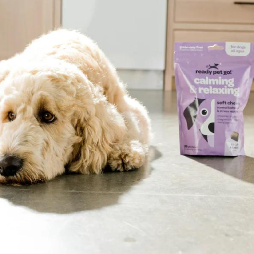 Ready, Pet Go! Calming & Relaxing Dog Chews for Anxiety & Stress Relief