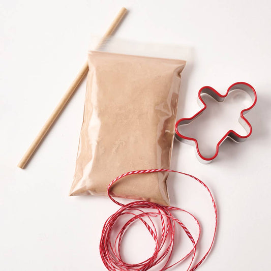 Eco-Kids Gingerbread Ornament Kit - case