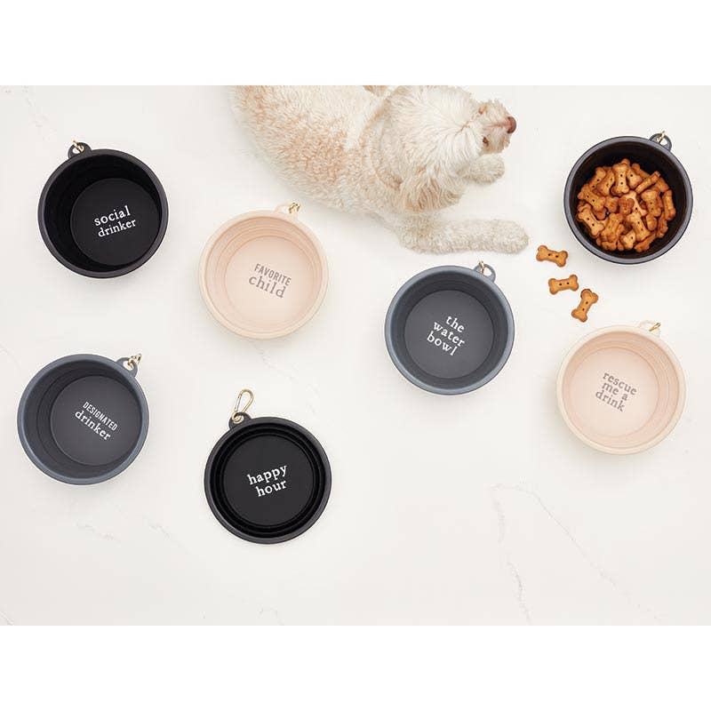 Santa Barbara Large Collapsible Dog Bowl - Favorite Child