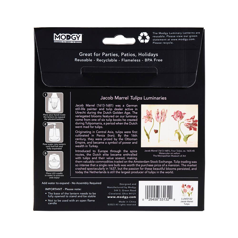 Modgy Luminary Lantern - Jacob Marrell Tulips