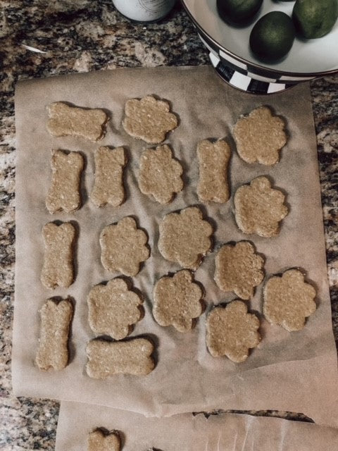 Onic Brands Sourdough Dog Biscuits