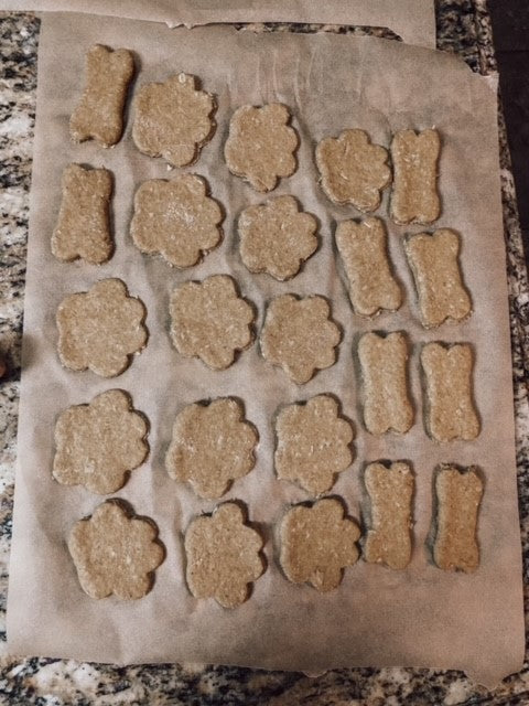 Onic Brands Sourdough Dog Biscuits