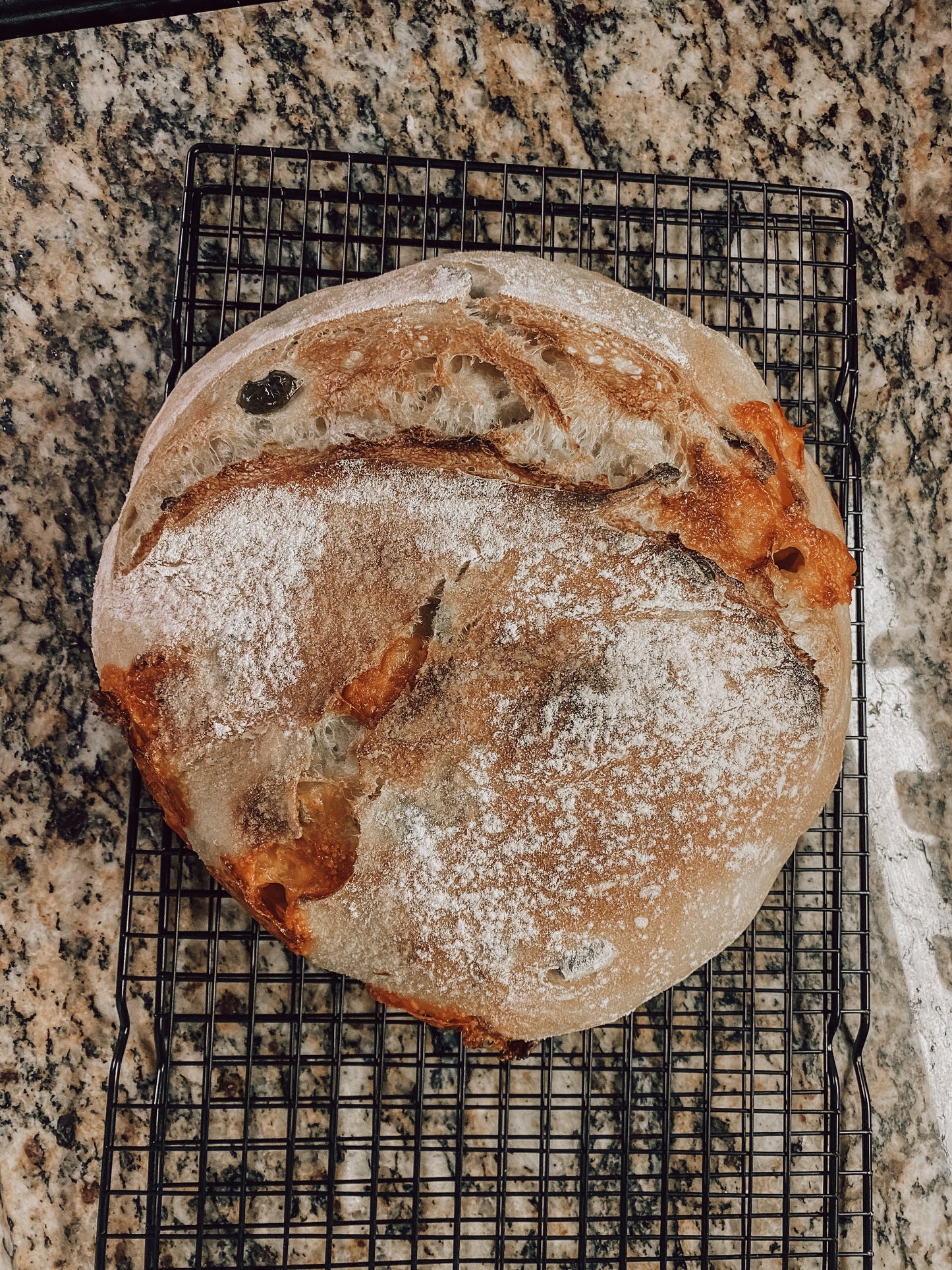 Onic Brands Jalapeno Cheddar Sourdough Loaf