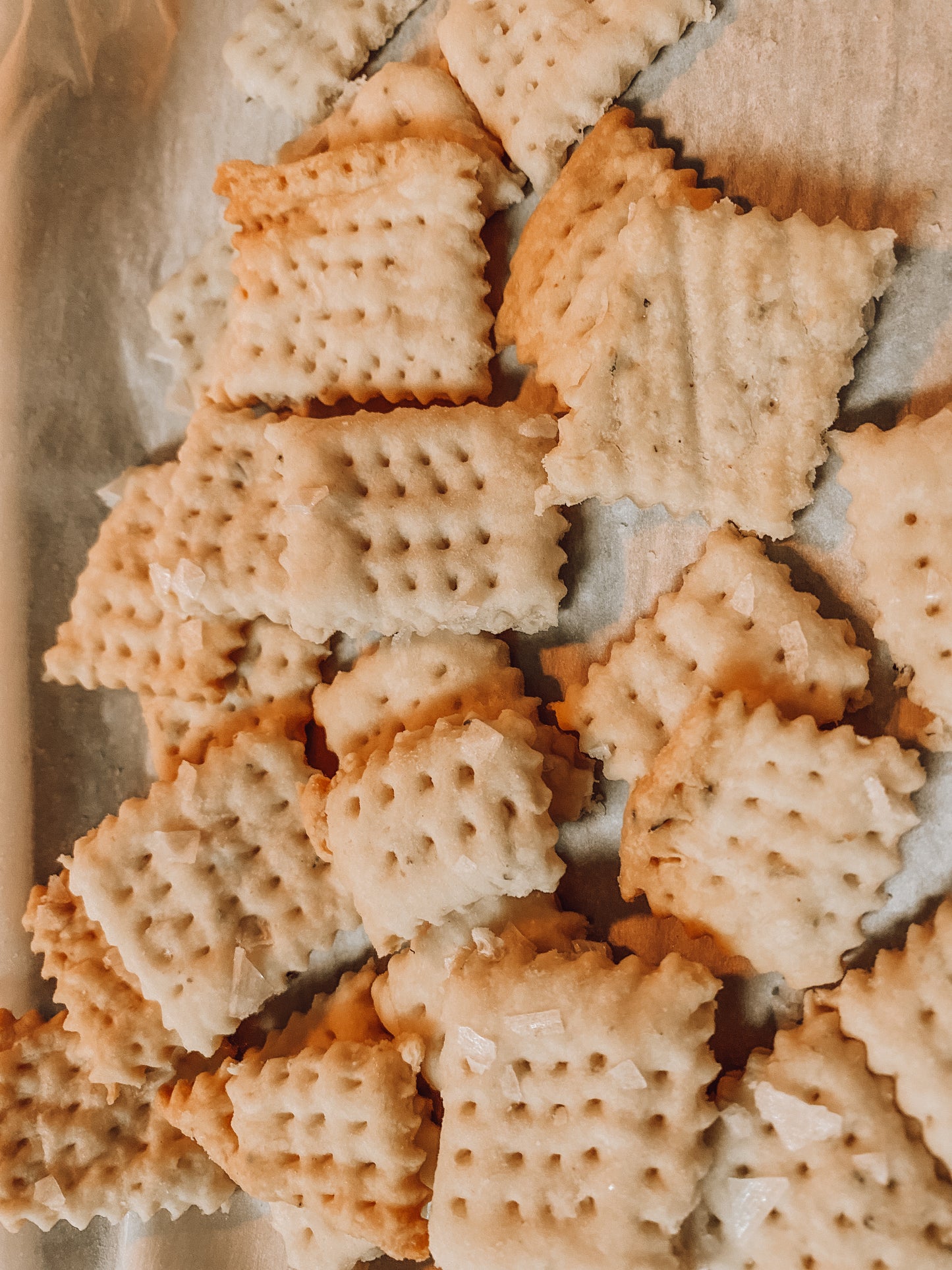 Onic Brands Heritage Hearth Crackers
