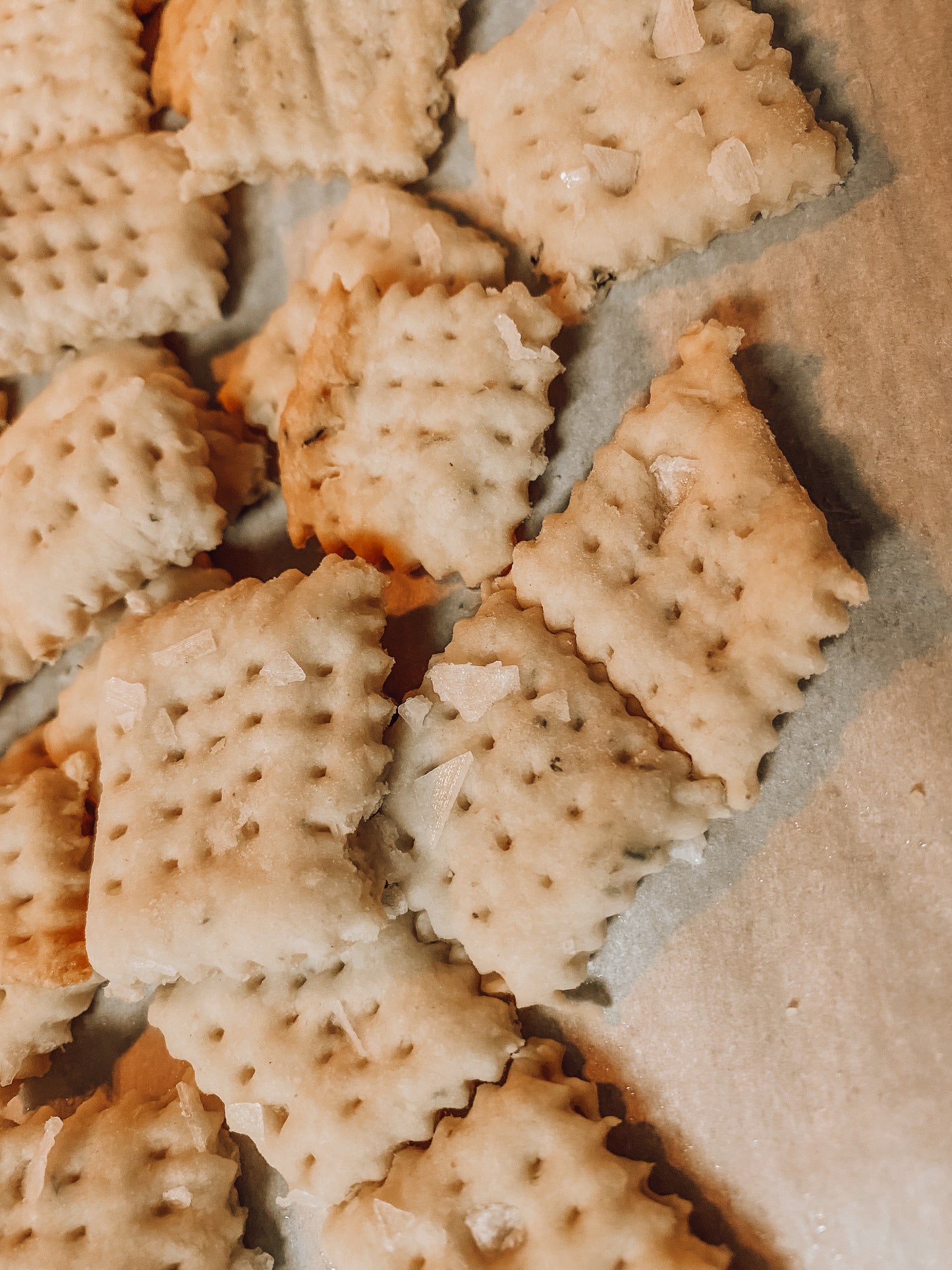 Onic Brands Heritage Hearth Crackers