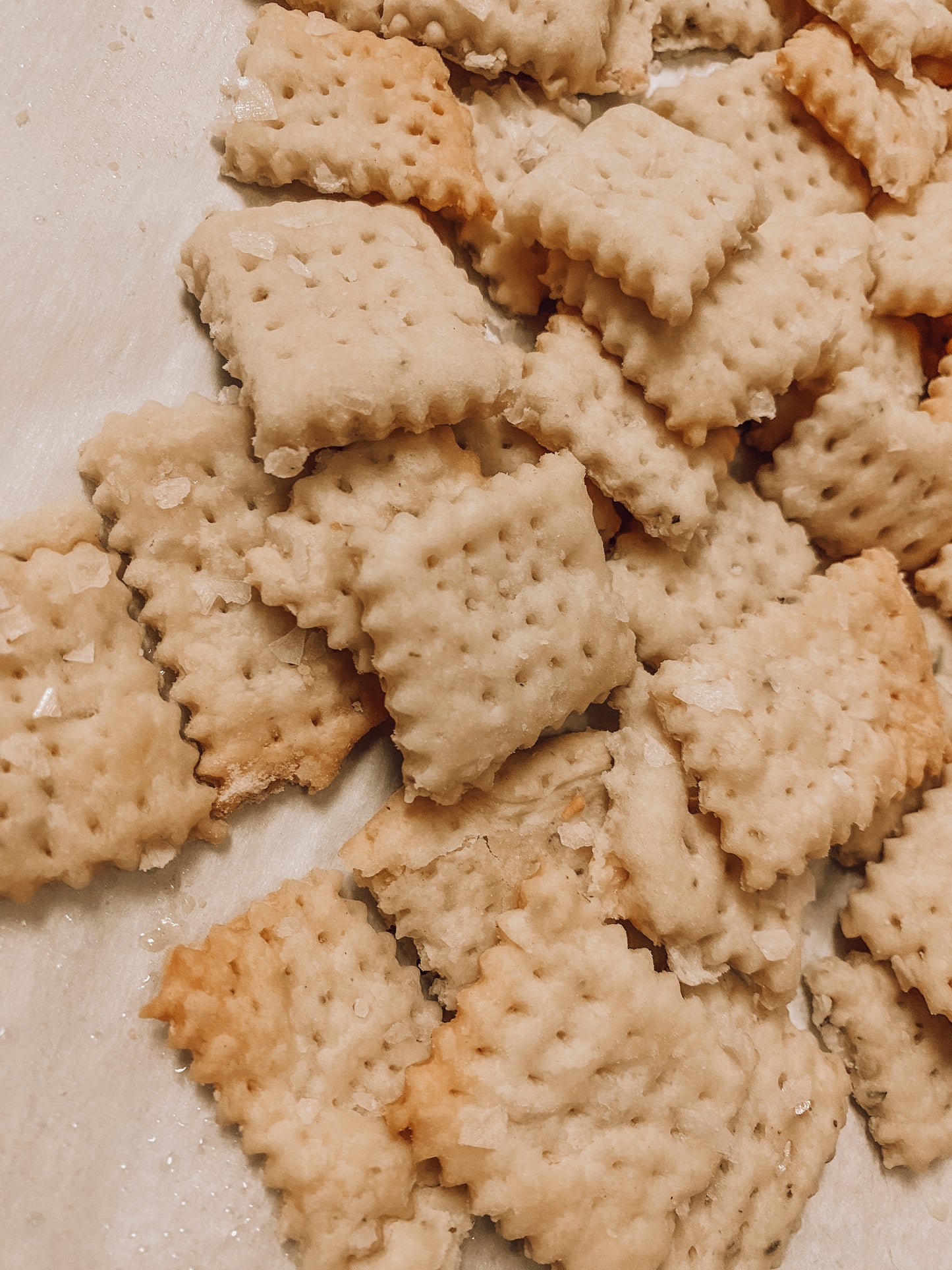 Onic Brands Heritage Hearth Crackers