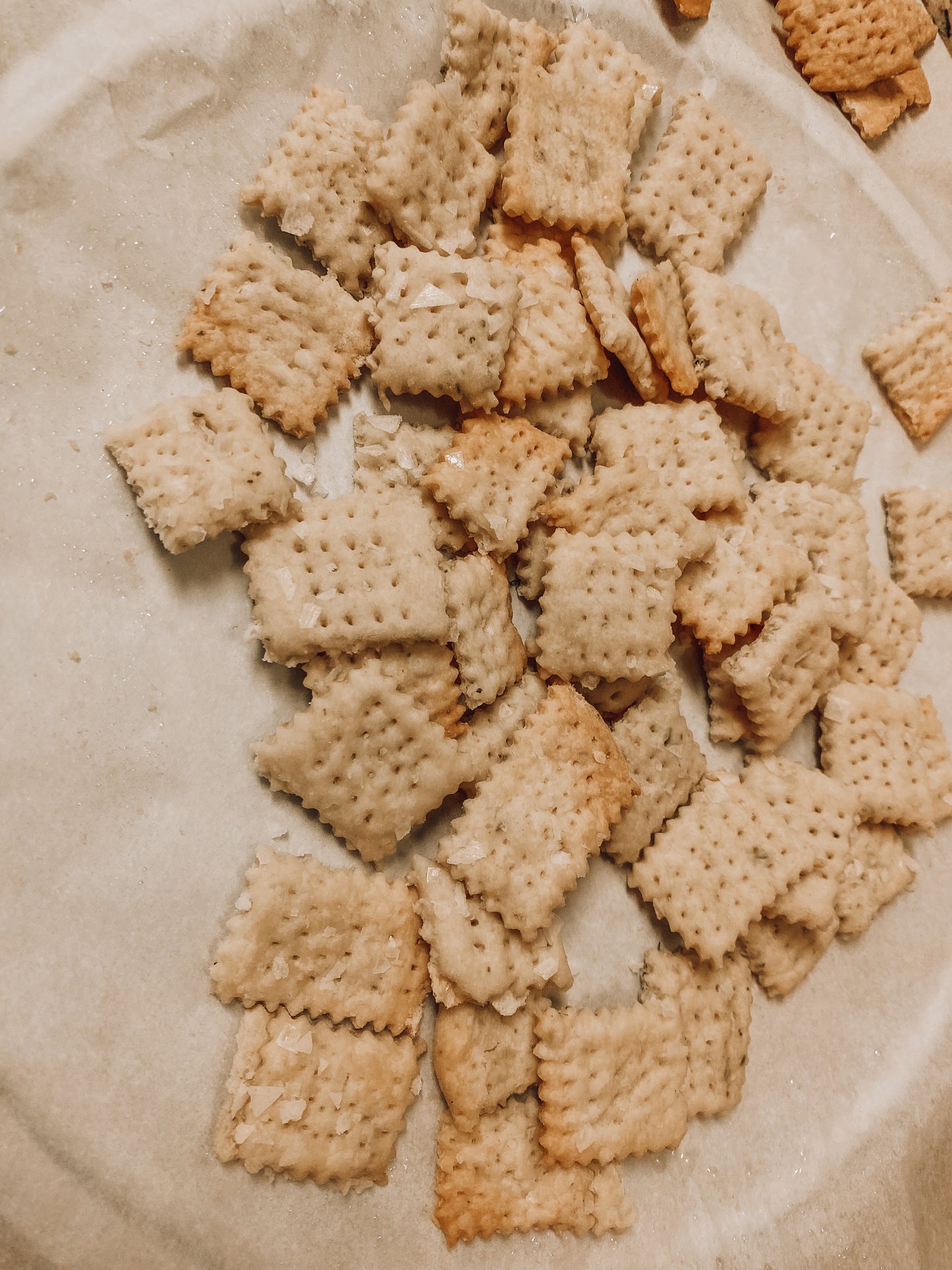 Onic Brands Heritage Hearth Crackers