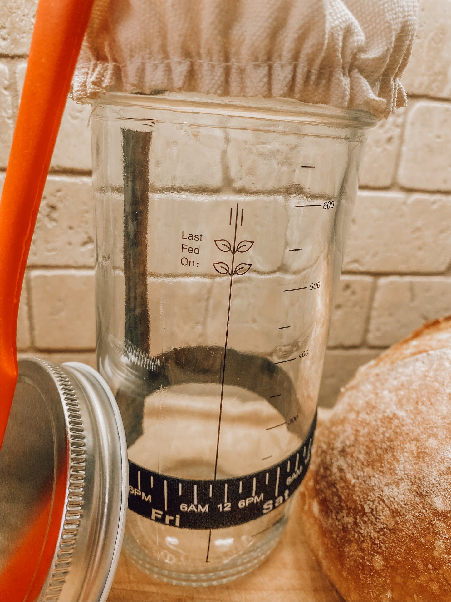 Onic Brands Starter Jar