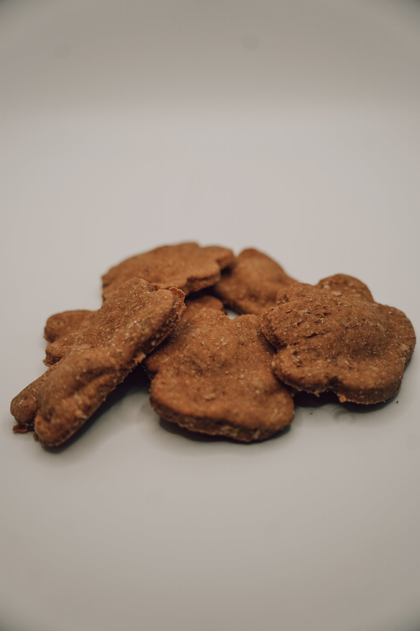 Onic Brands Sourdough Dog Biscuits