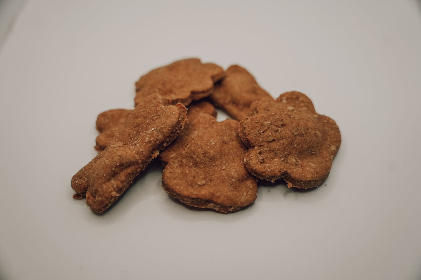 Onic Brands Sourdough Dog Biscuits