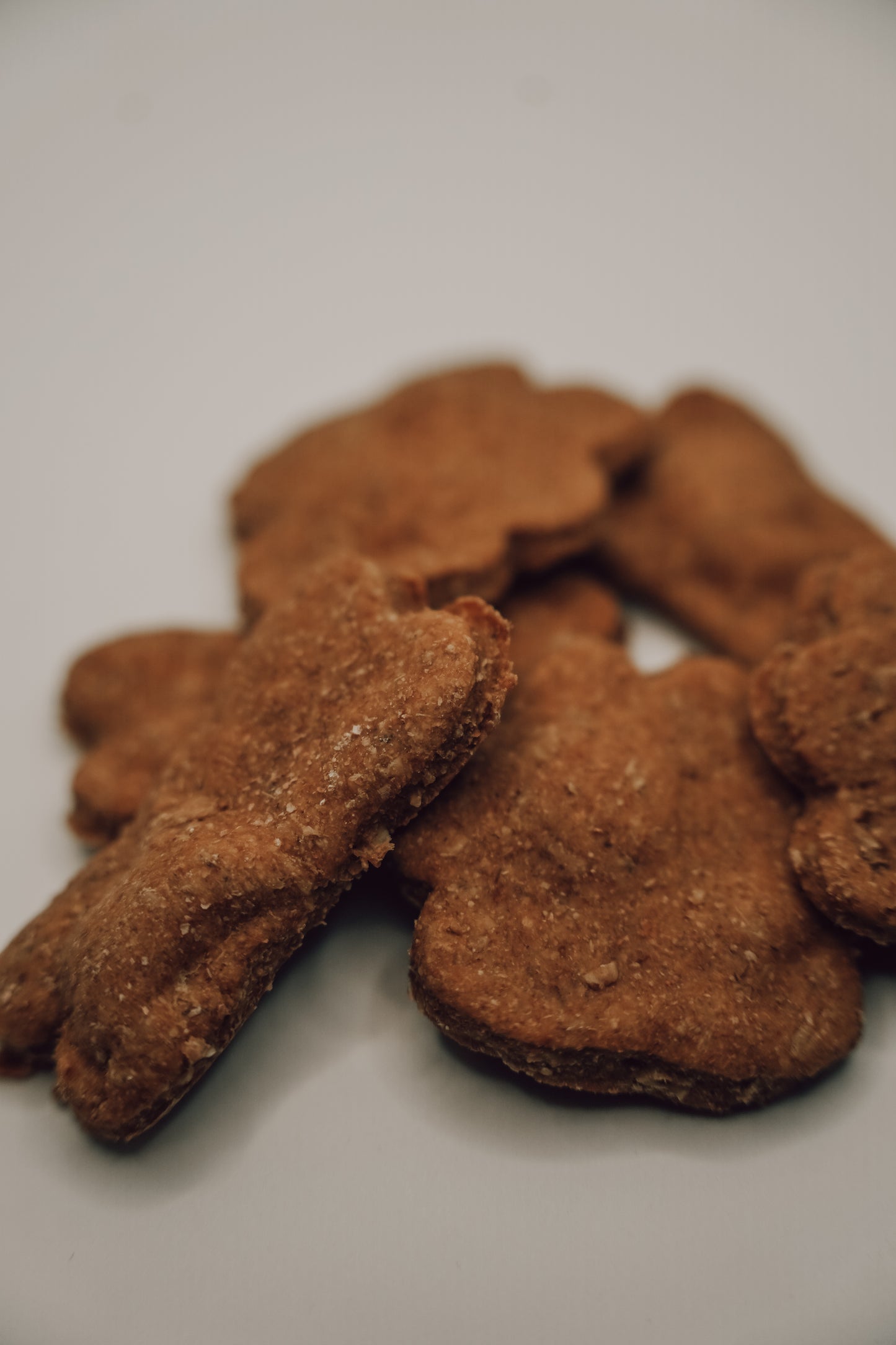 Onic Brands Sourdough Dog Biscuits