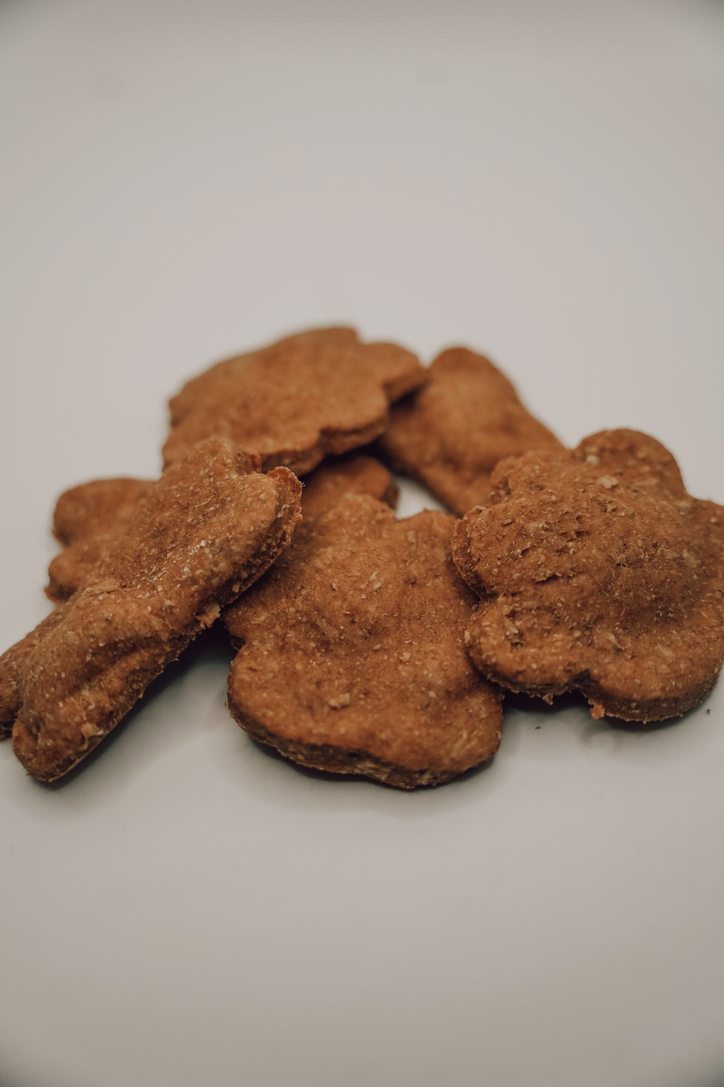 Onic Brands Sourdough Dog Biscuits