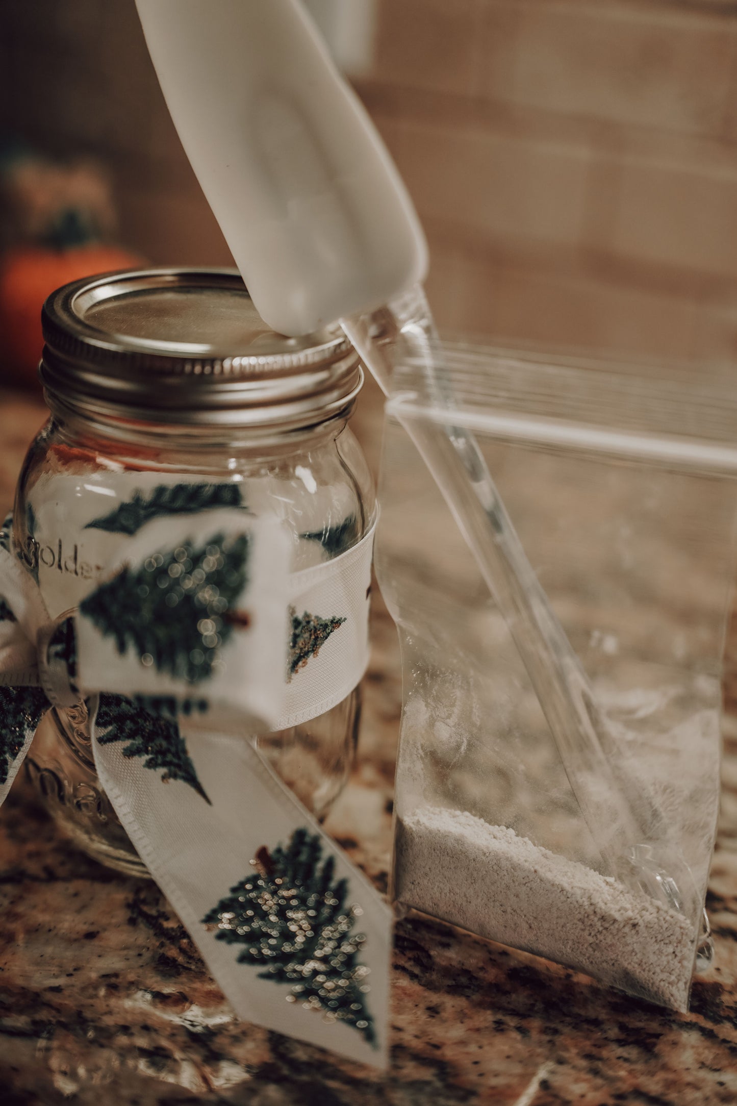 Christmas Dehydrated Starter Gift Basket
