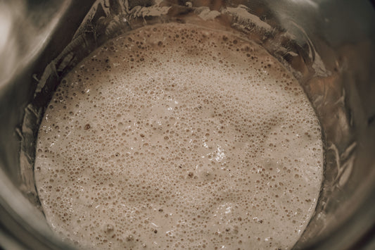 Onic Brands Dehydrated Sourdough Starter