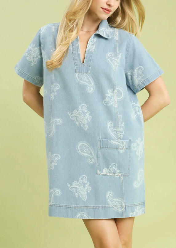 Paisley Denim Dress
