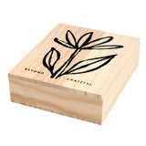 Santa Barbara Wood Box Notes Set