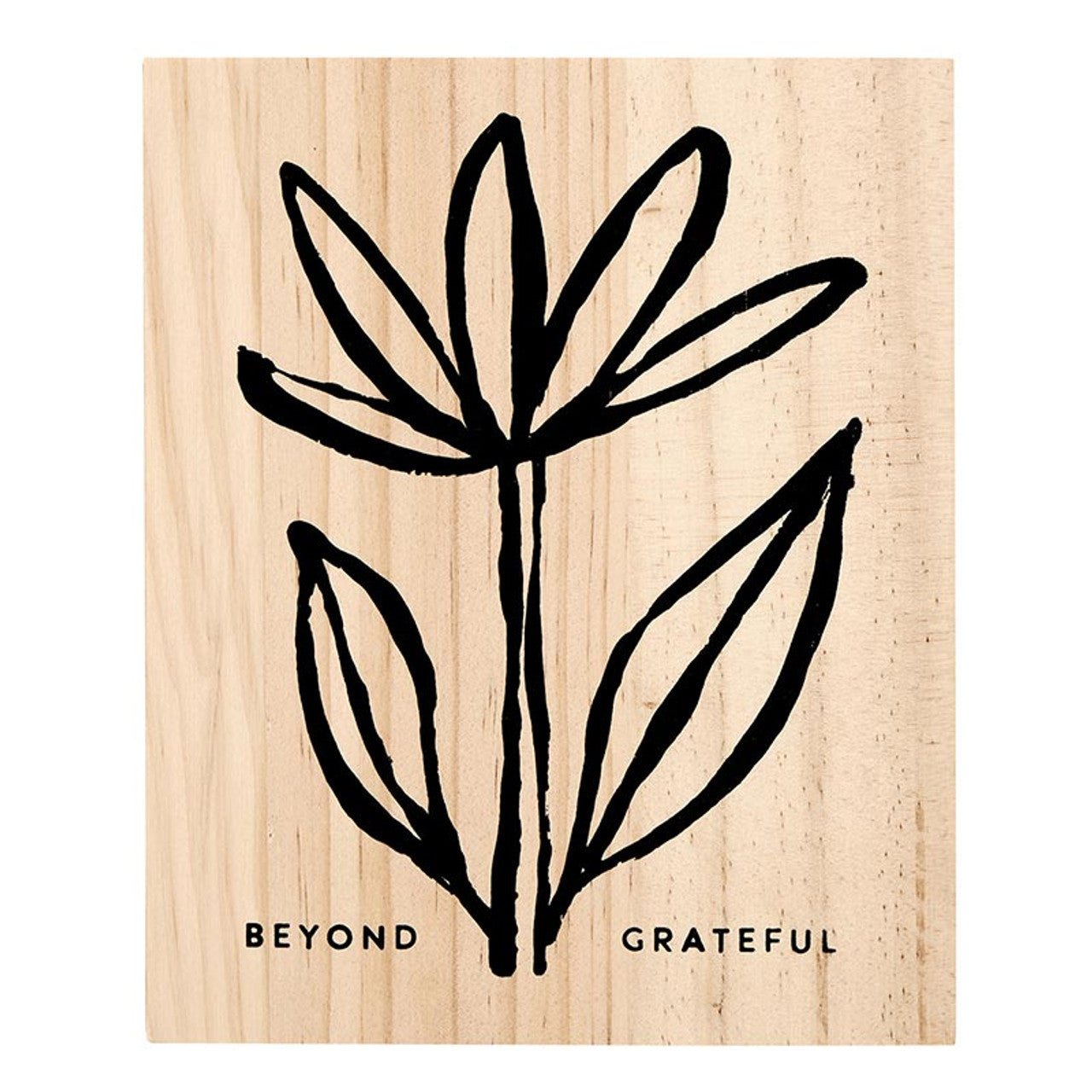 Santa Barbara Wood Box Notes Set