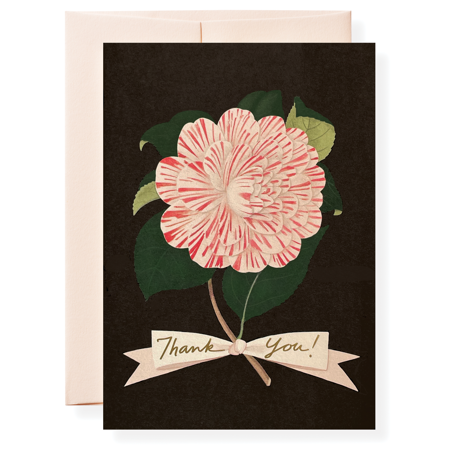 Karen Adams Camellia Thank You Greeting Card