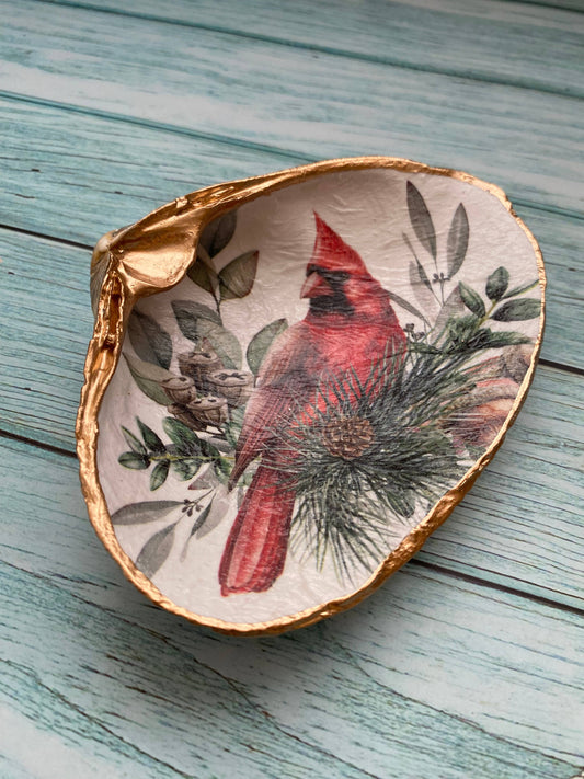 Serenity Shells - Christmas Cardinal Shell