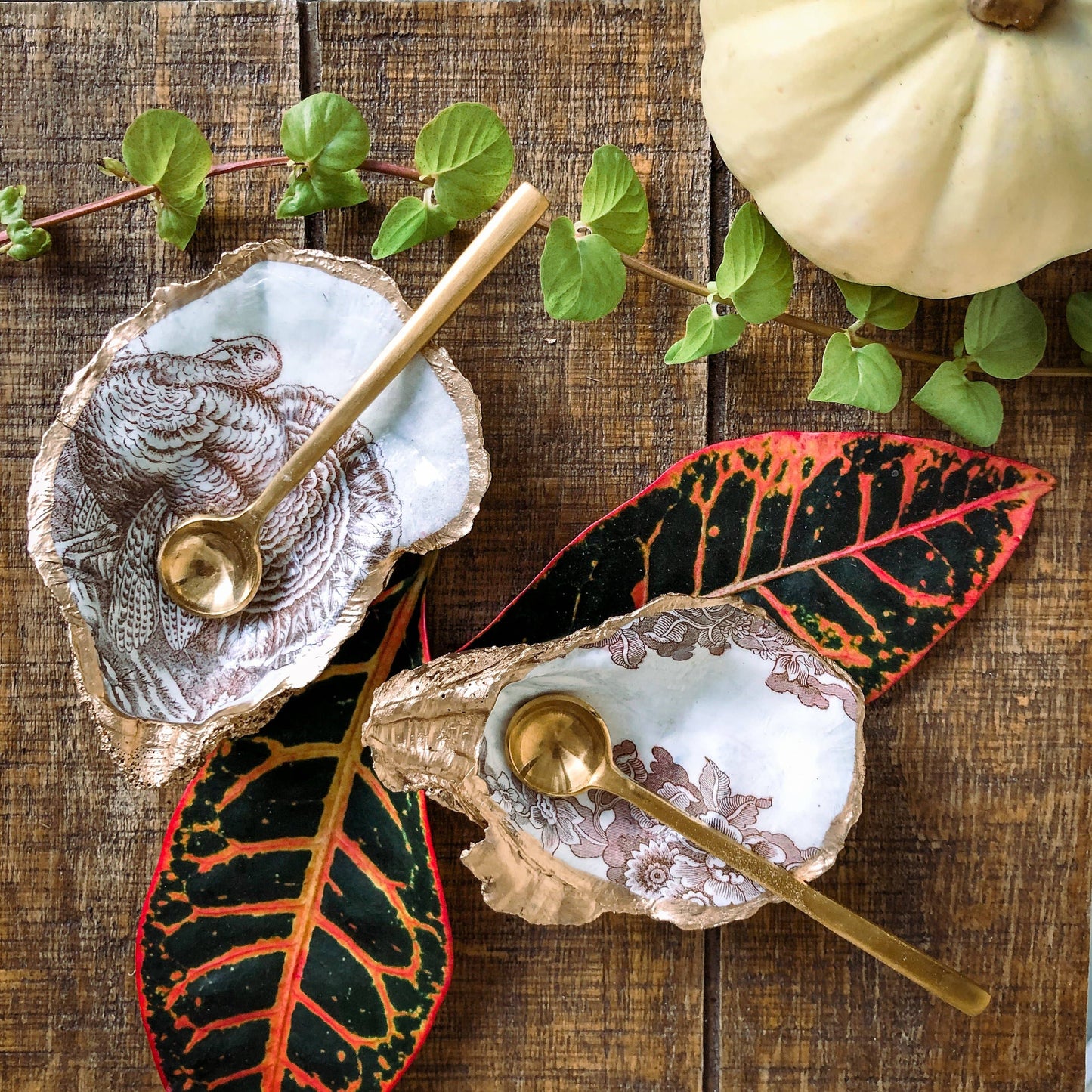 Kcrookdesign's Decorative Oyster Shells - Gobble Gobble