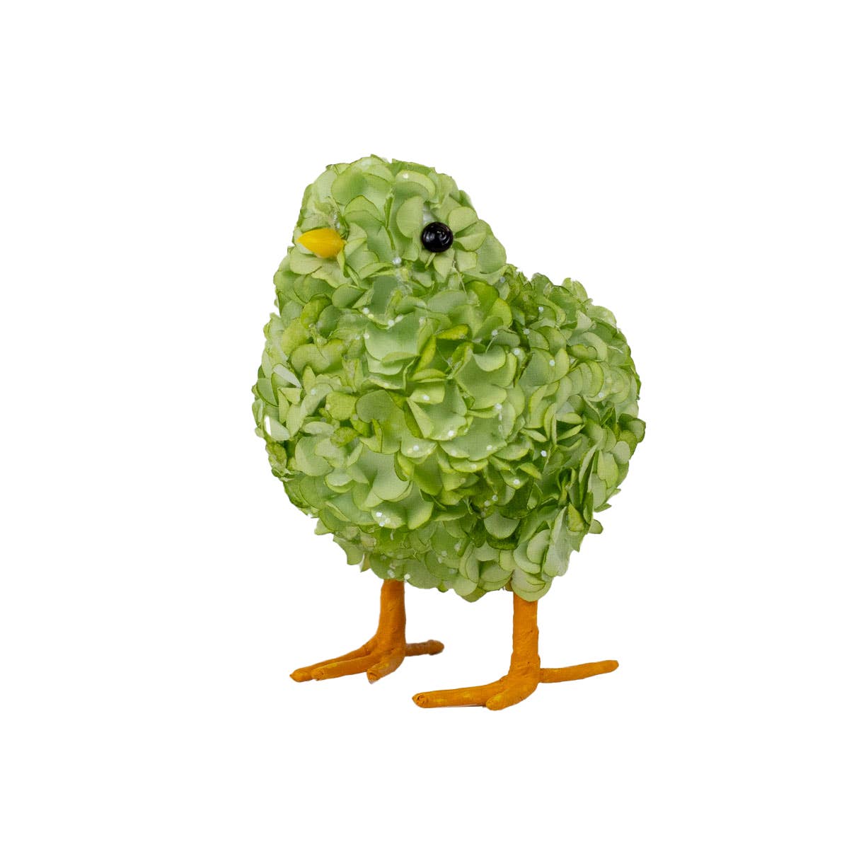 Royal Standard Hydrangea Chick (Green 3x4x2.5)