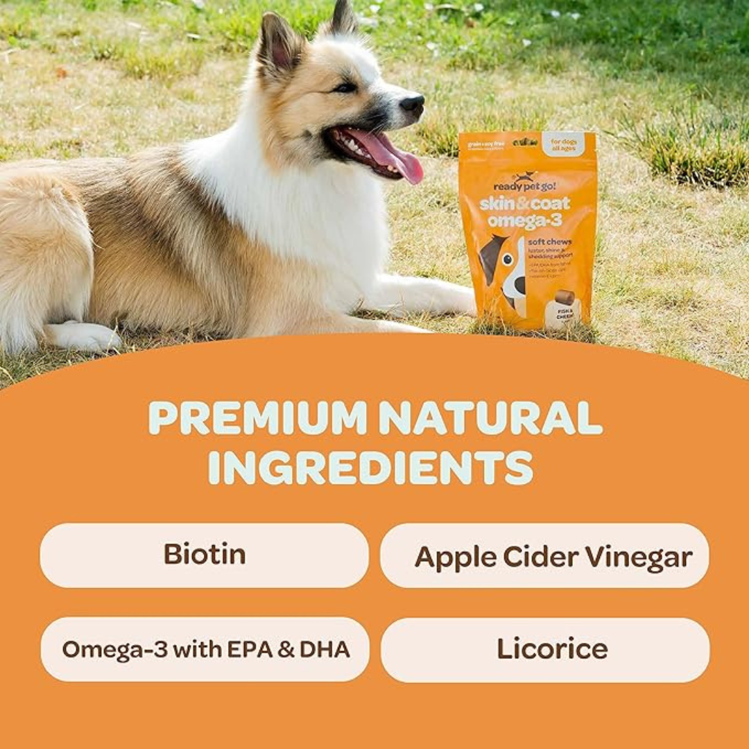 Ready Pet Go! Omega 3 Fish Oil Supplement Chews for Dogs - Skin & Coat