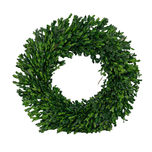 Galt Naturally Preserved Green Boxwood Wreath 21" + Hanging Loop