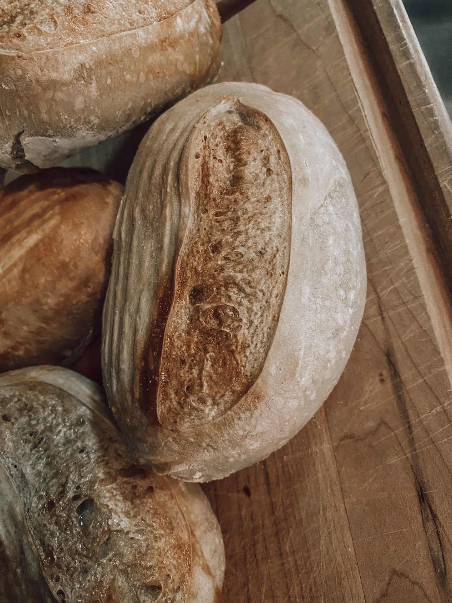 Onic Brands Mini Dinner Loaves