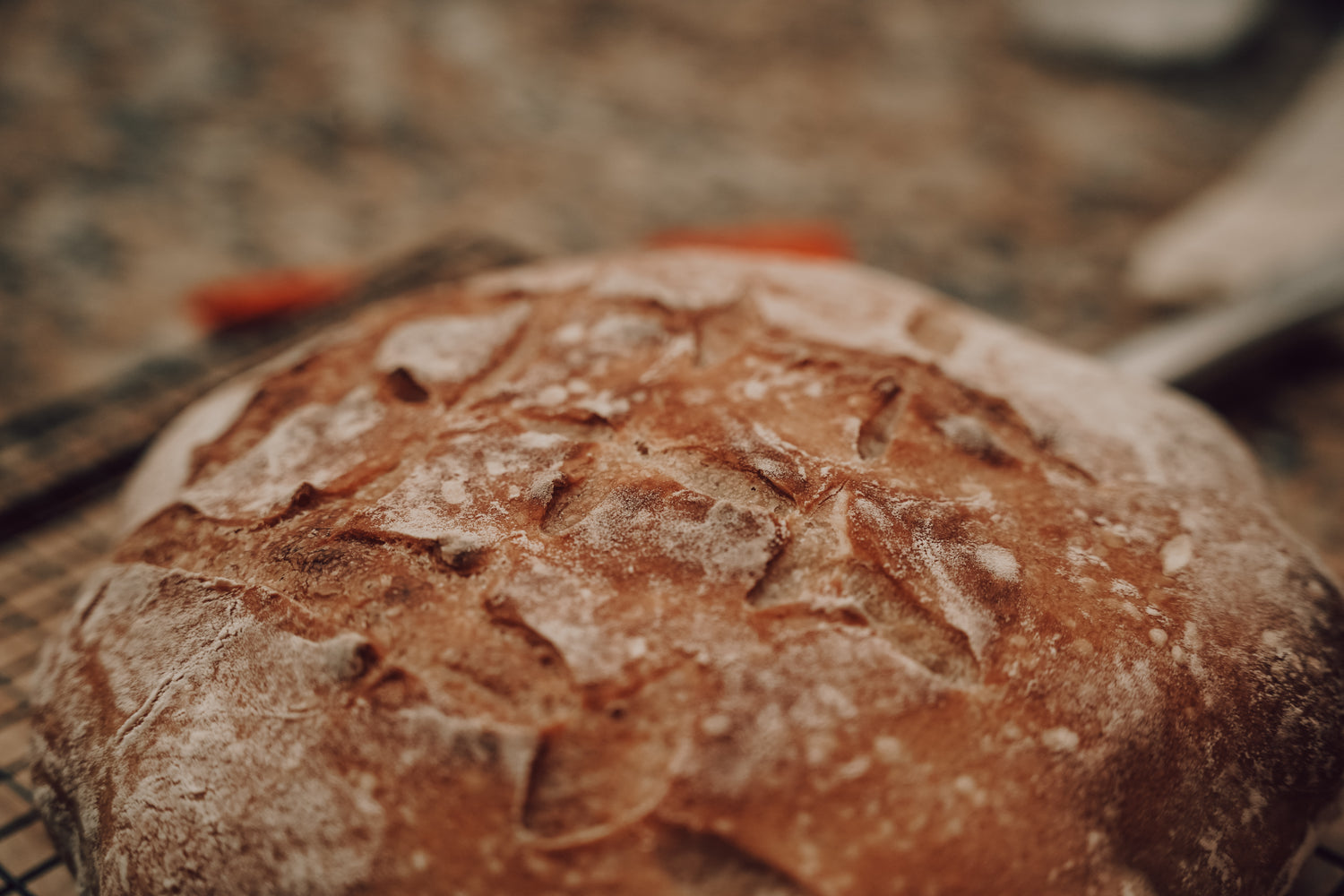 The Kitchen (Breads/Pastries) Collection
