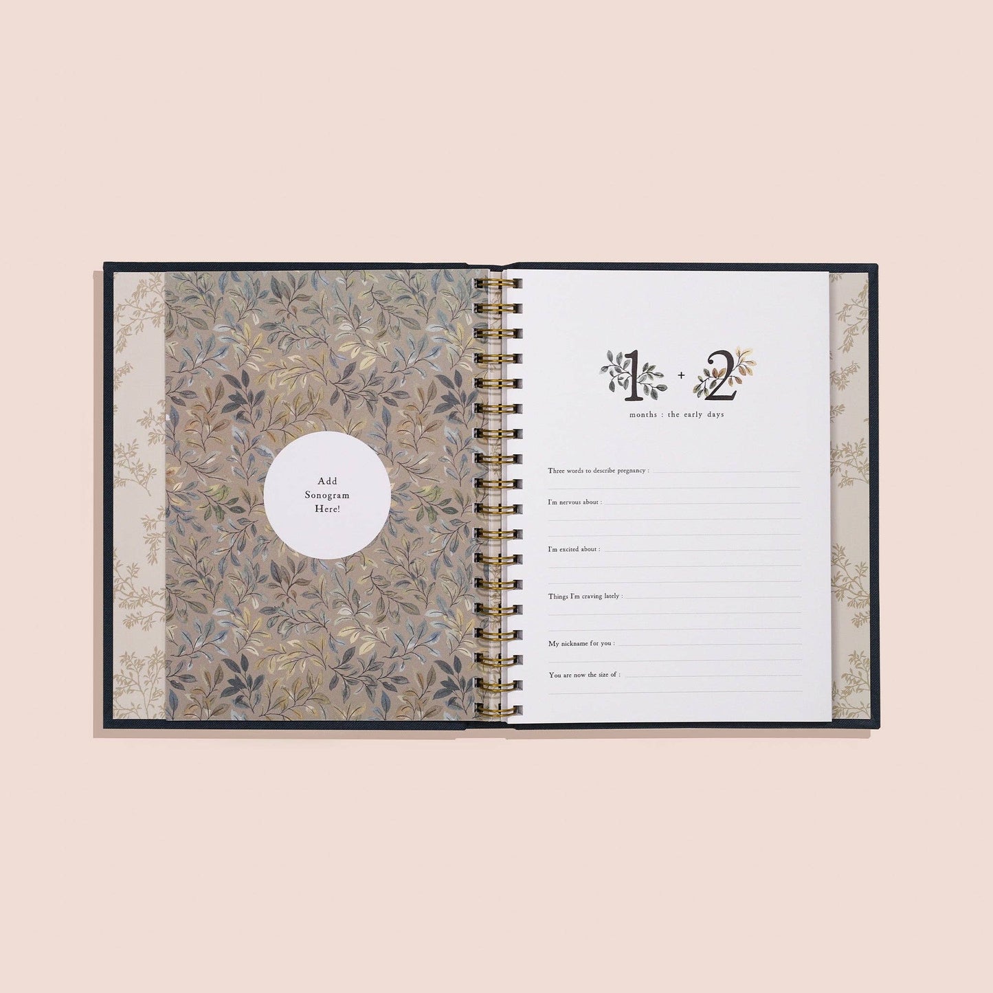 Paige Tate & Co. Growing You: Pregnancy Guided Journal and Keepsake Book