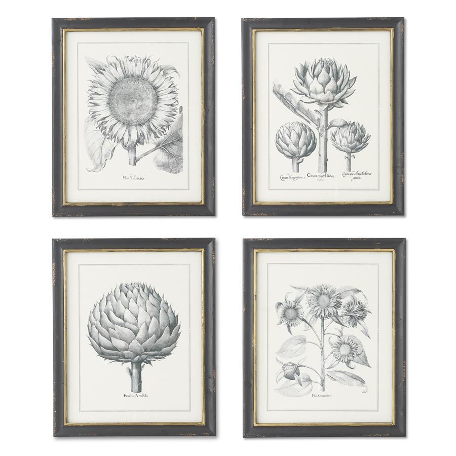 K&K Interiors Black & Gold Framed Sunflower & Artichoke Prints