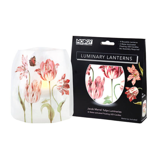 Modgy Luminary Lantern - Jacob Marrell Tulips