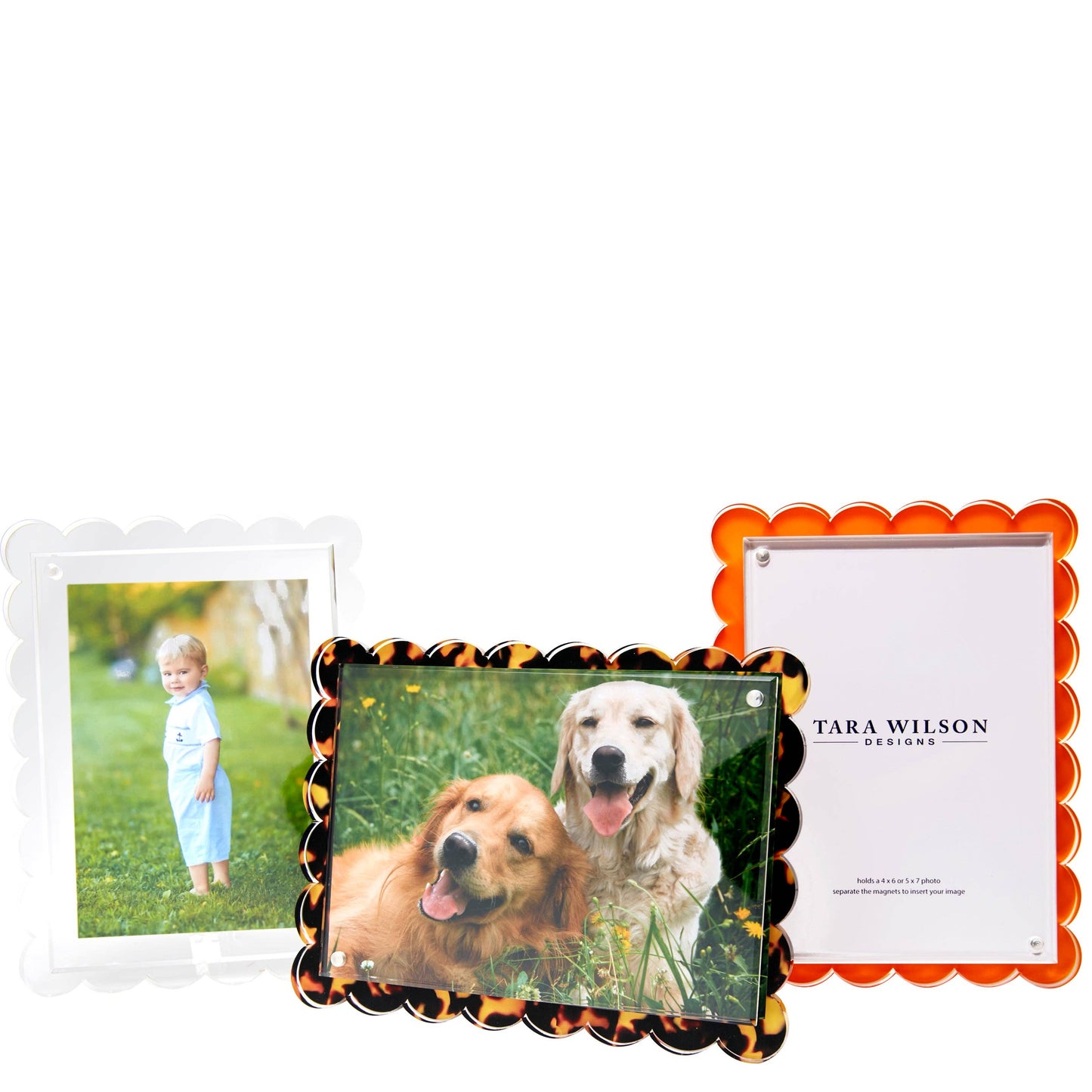 Tara Wilson SCALLOP FRAME - ORANGE