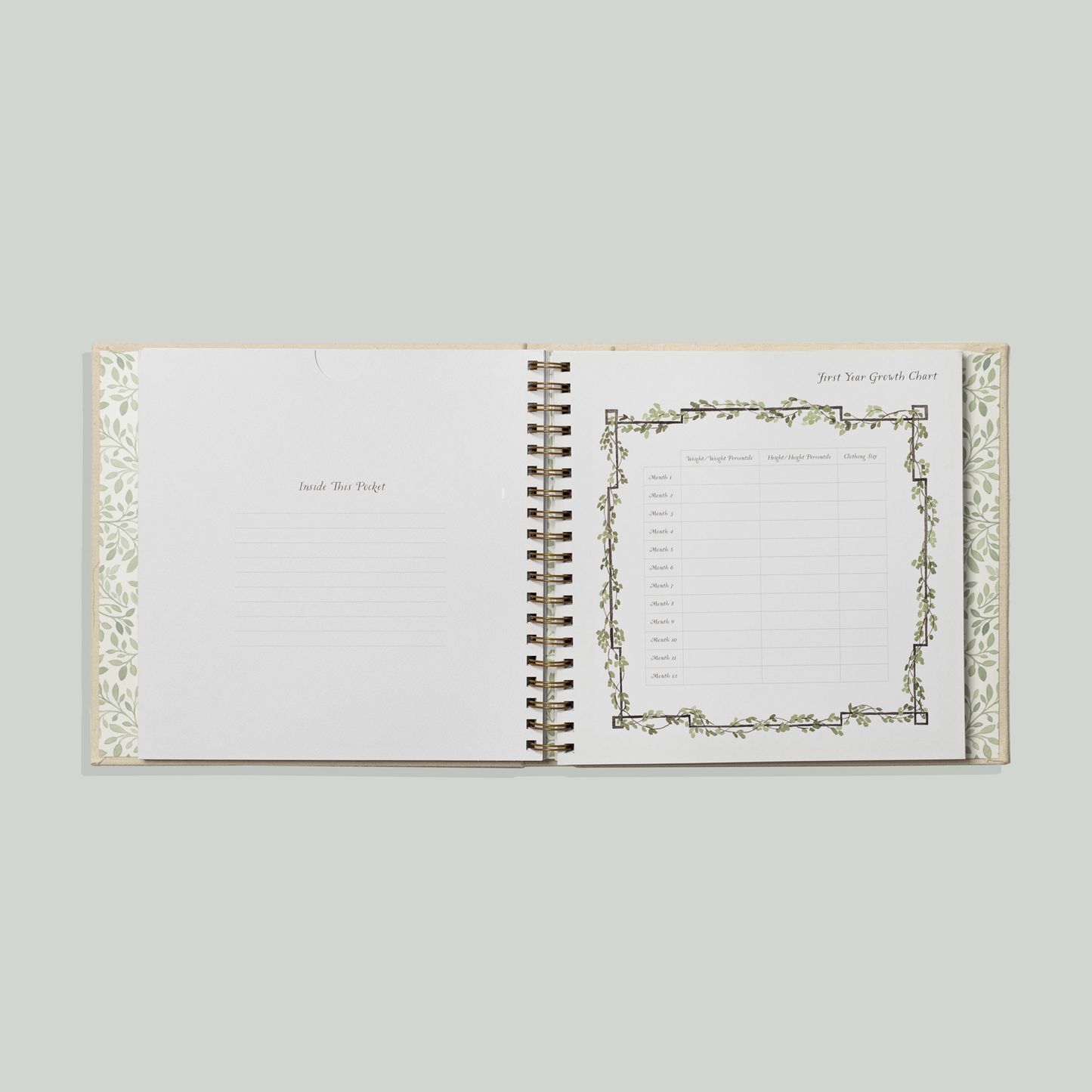 Paige Tate & Co. As You Grow: A Modern Memory Book for Baby (New Mom)