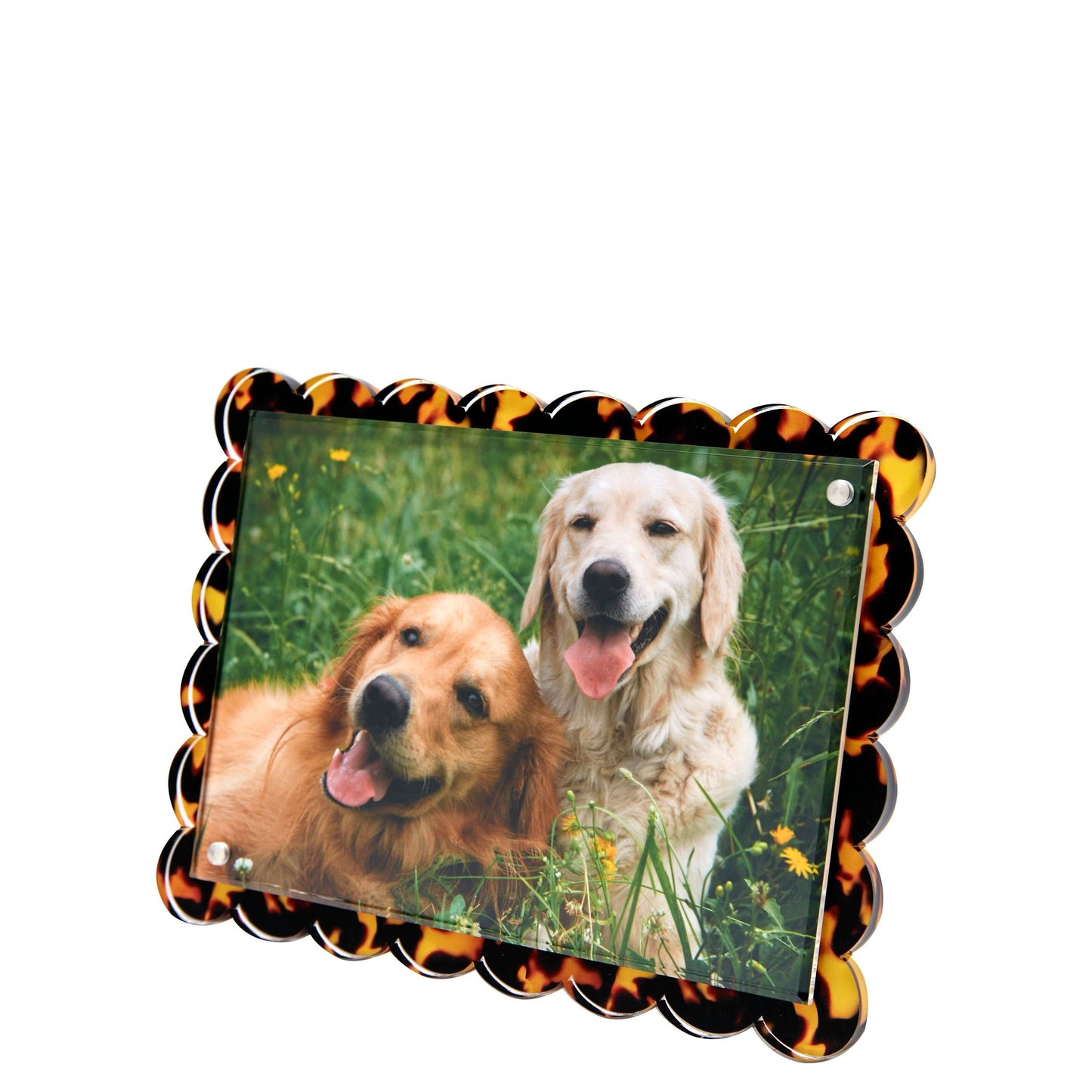 Tara Wilson Scallop Acrylic Frame- TORTOISE