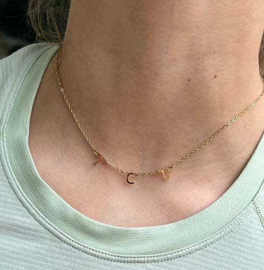 Steele Sloan Designs TCU Charm Necklace