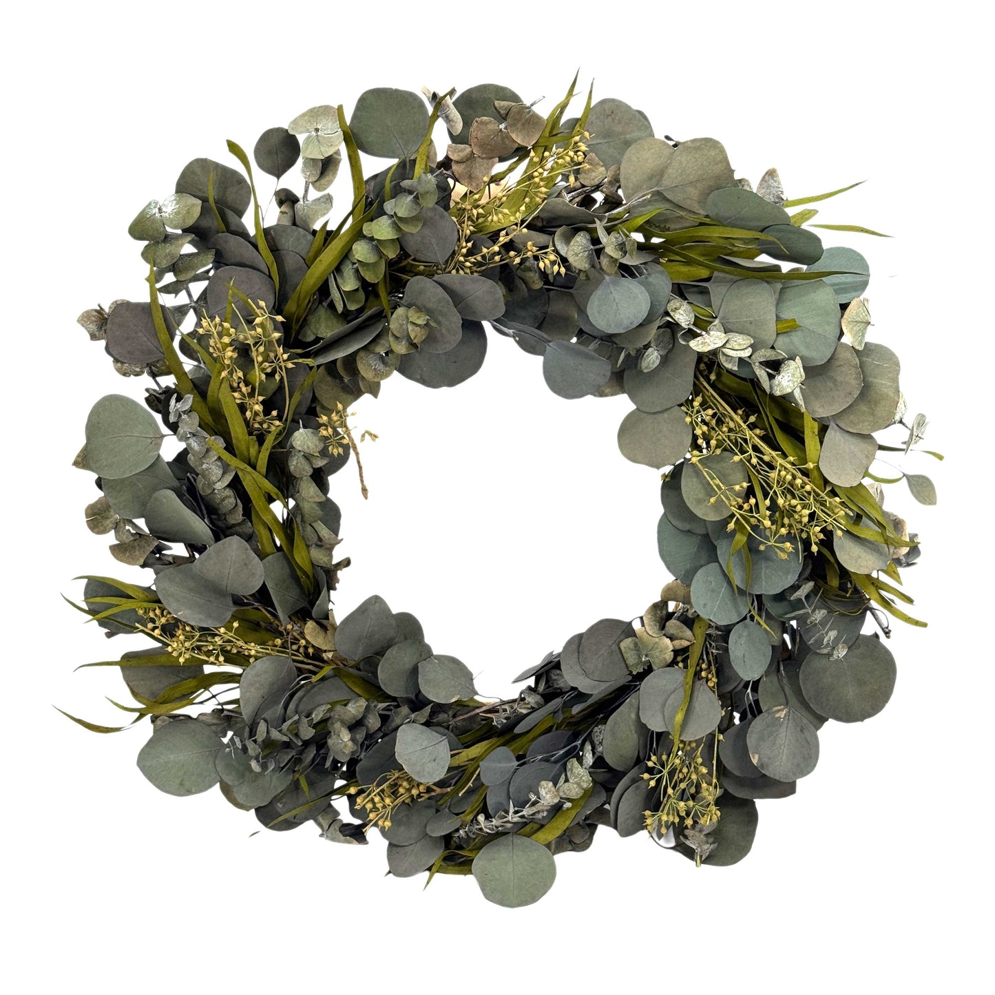 Galt Naturally Preserved Green Eucalyptus Wreath 21"