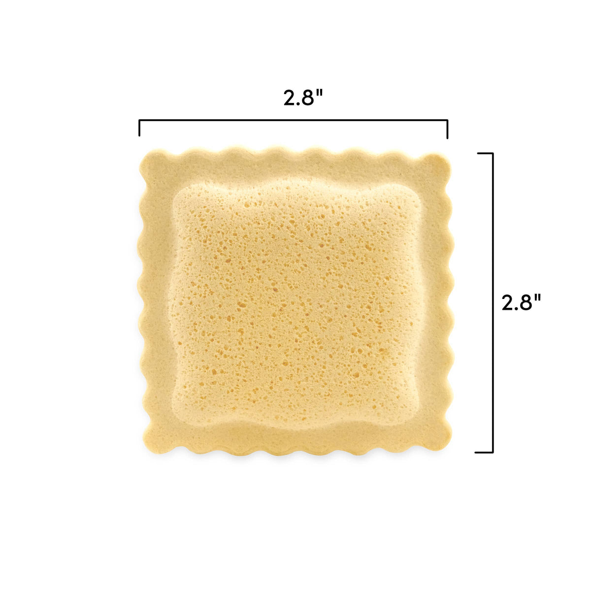 Sponges - Spongioli - Set of 6 - Ravioli Compressed Sponges