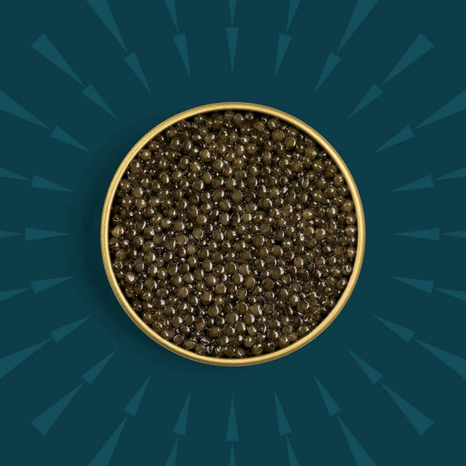 Golden Goat Classic Ossetra Caviar (30g)