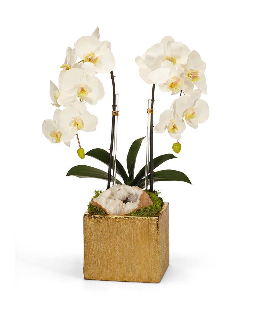 T&C Floral's Double Orchid in Gold Square - WH