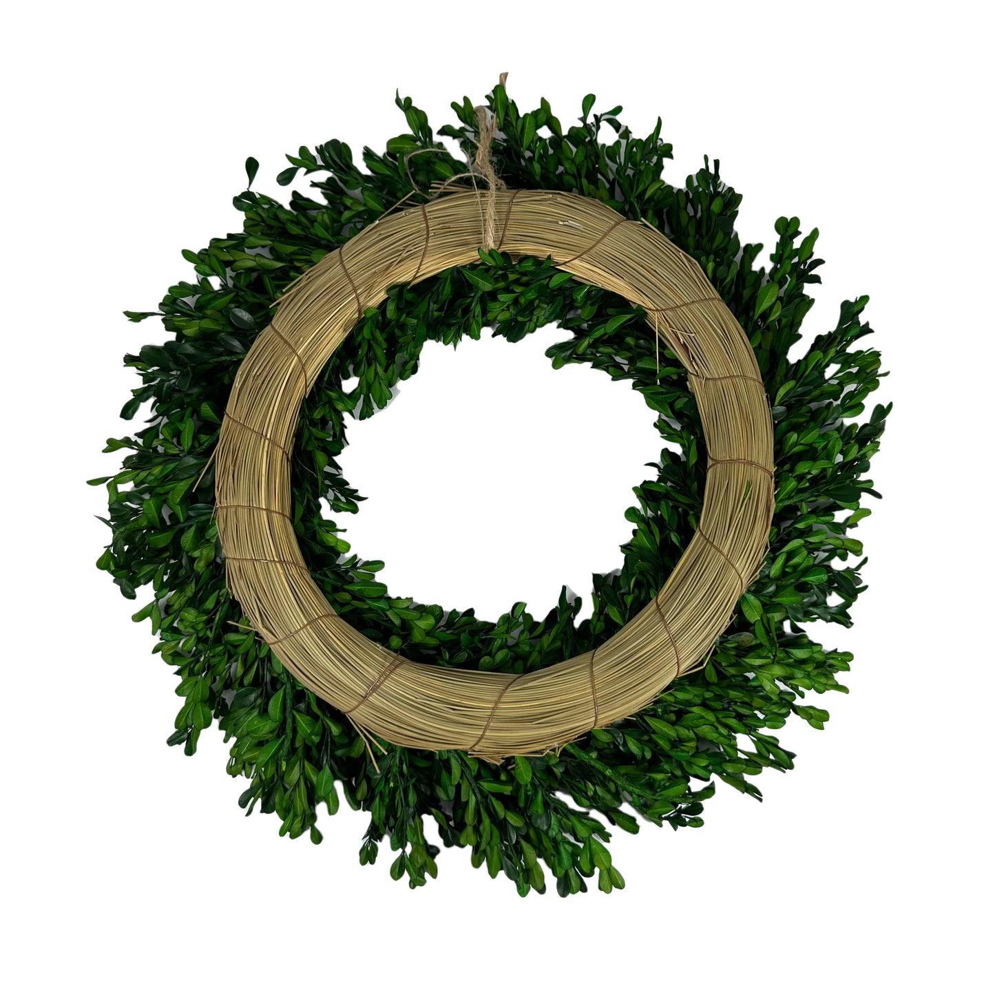 Galt Naturally Preserved Green Boxwood Wreath 21" + Hanging Loop