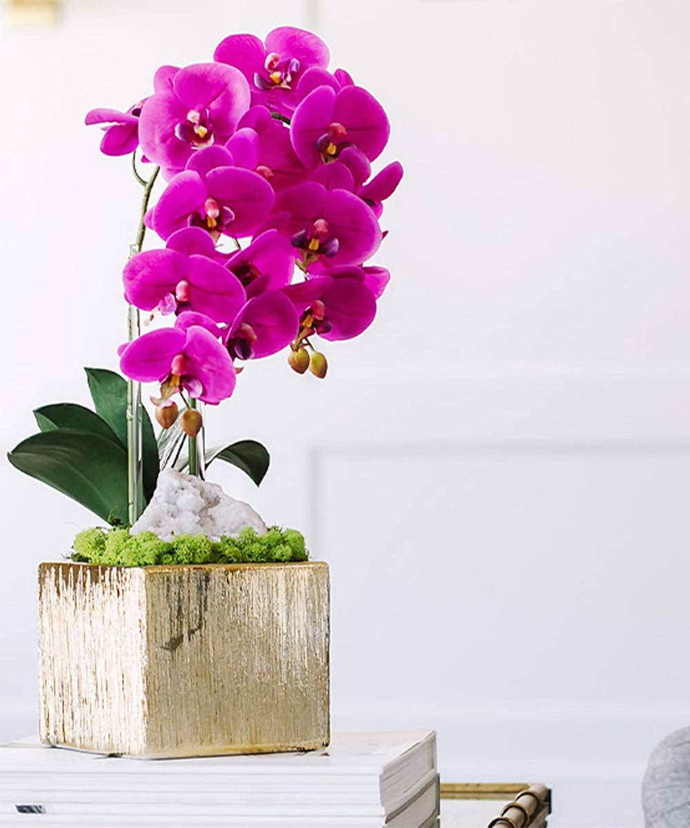 T&C Double Orchid in Gold Square - FU