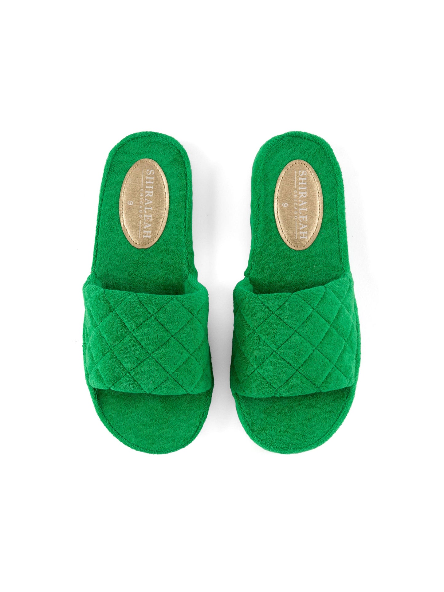 Shiraleah's SOL POOL SLIDES, GREEN