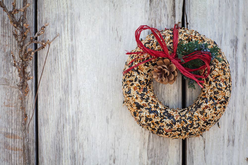 Mr. Bird WildFeast Wreath