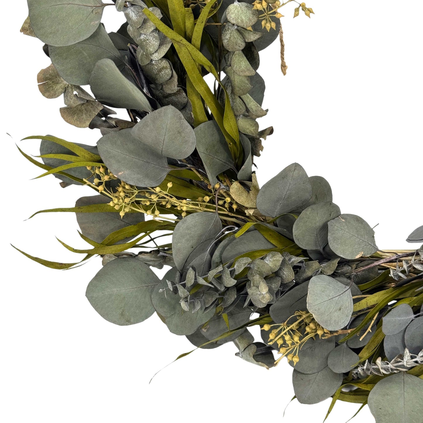 Galt Naturally Preserved Green Eucalyptus Wreath 21"