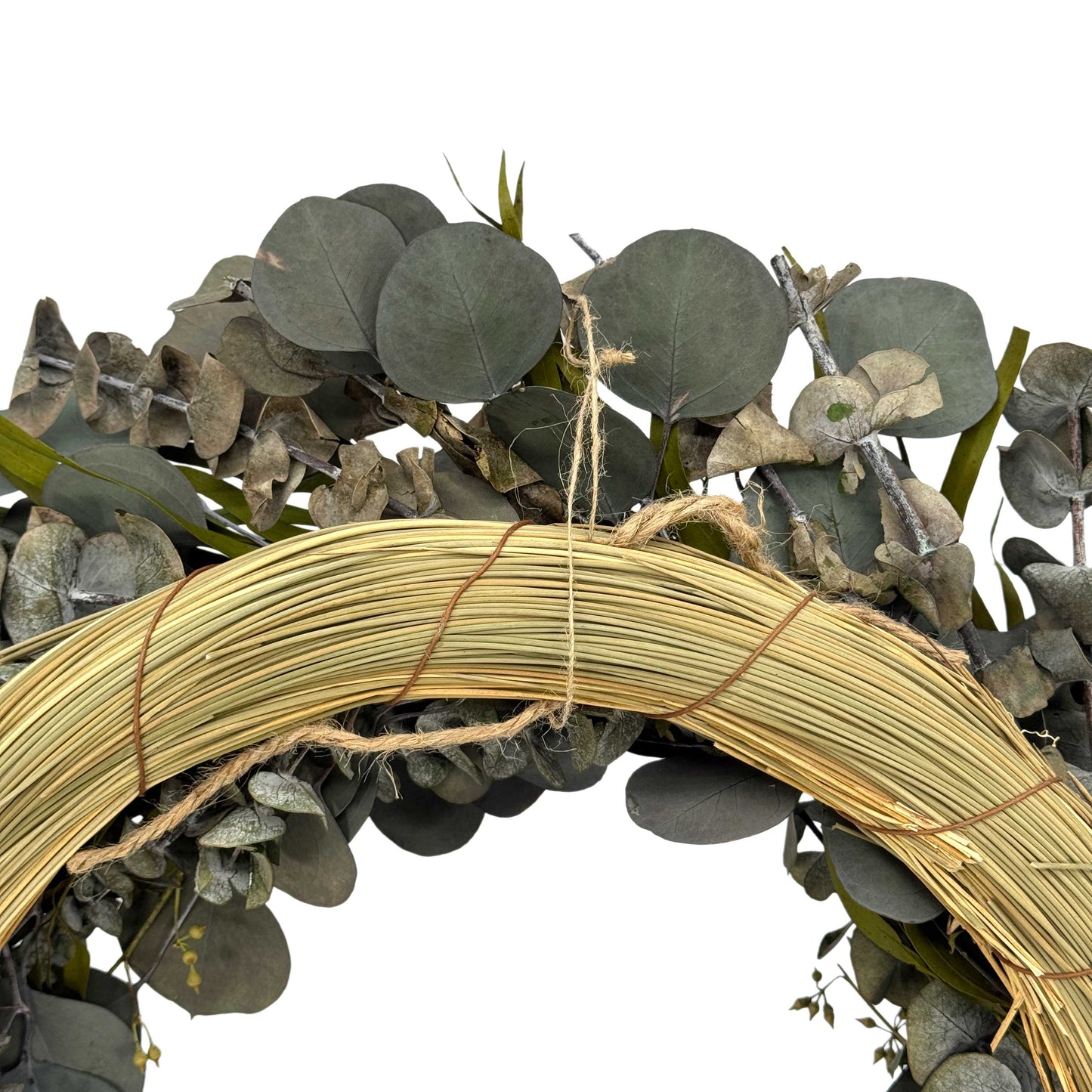 Galt Naturally Preserved Green Eucalyptus Wreath 21"