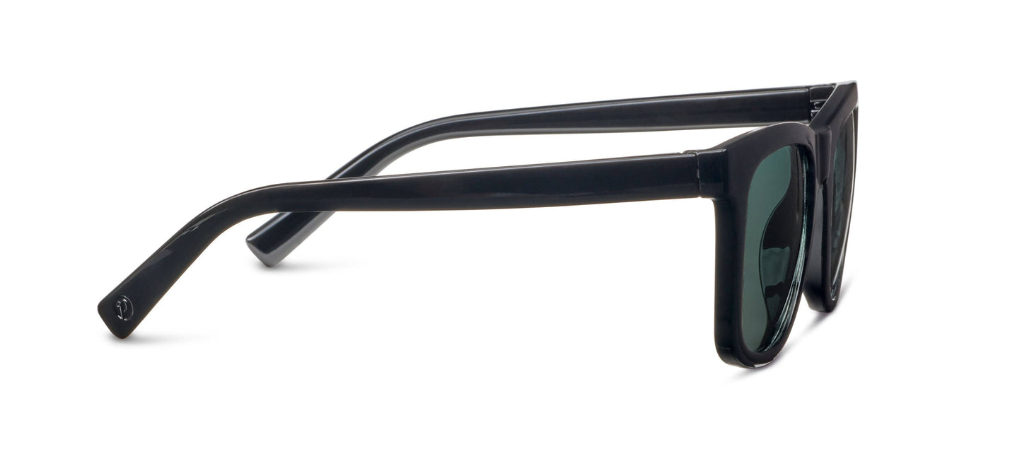 Peepers Harbor (Sunglasses)