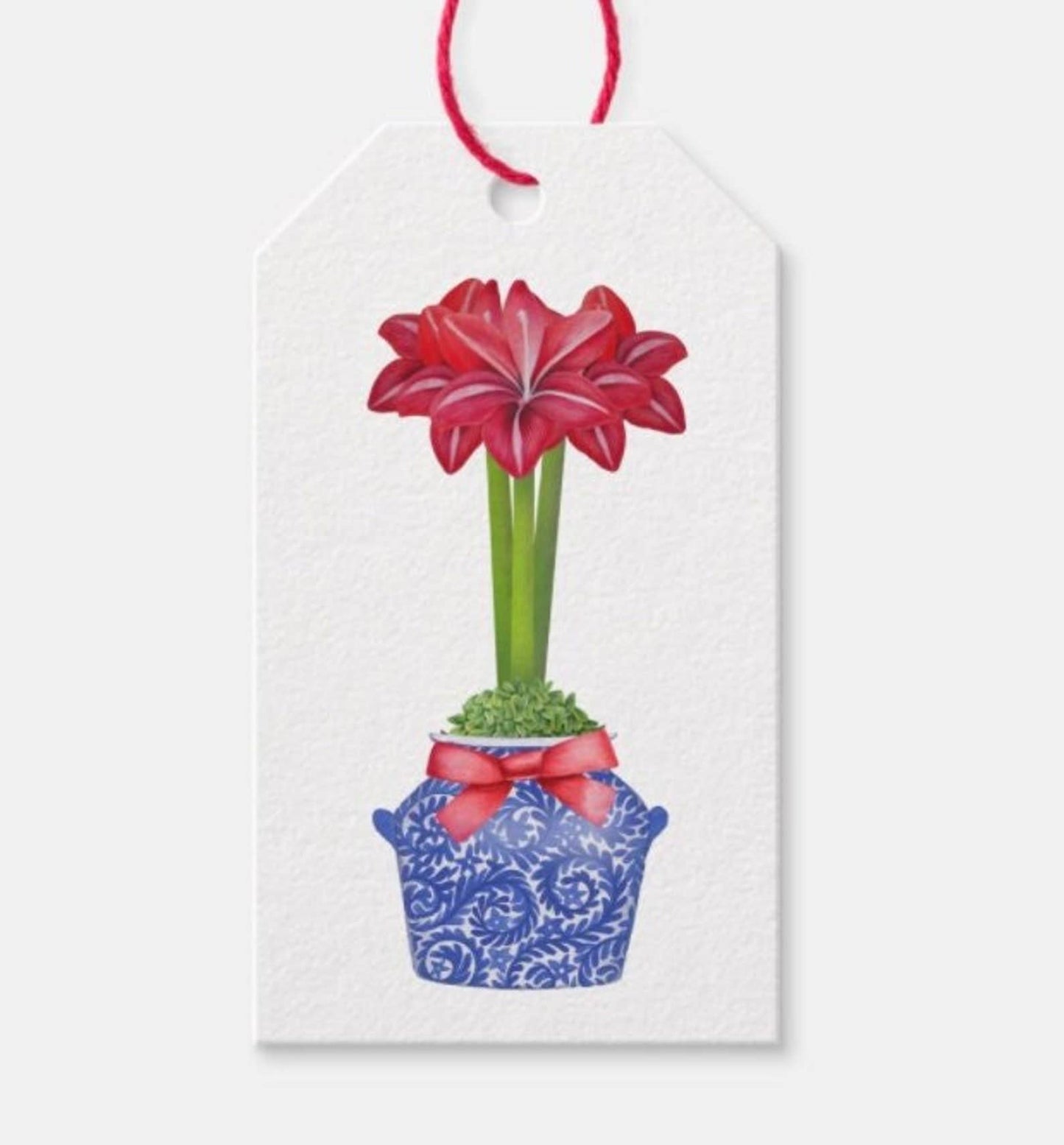 Design Carolinas Chinoiserie Blue & Red Amaryllis Flower Gift Tags