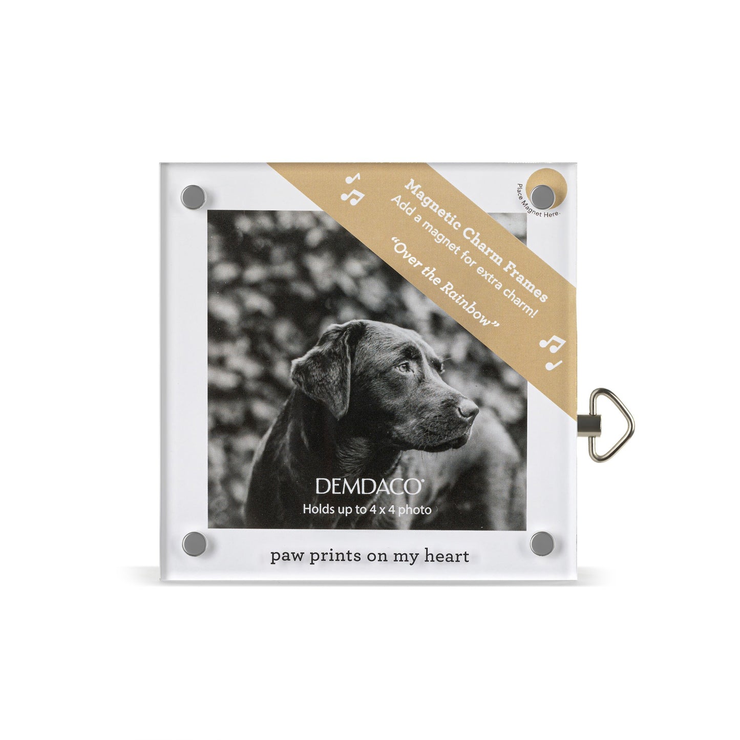 Demdaco Acrylic Magnetic Musical Frame 4x4 inch