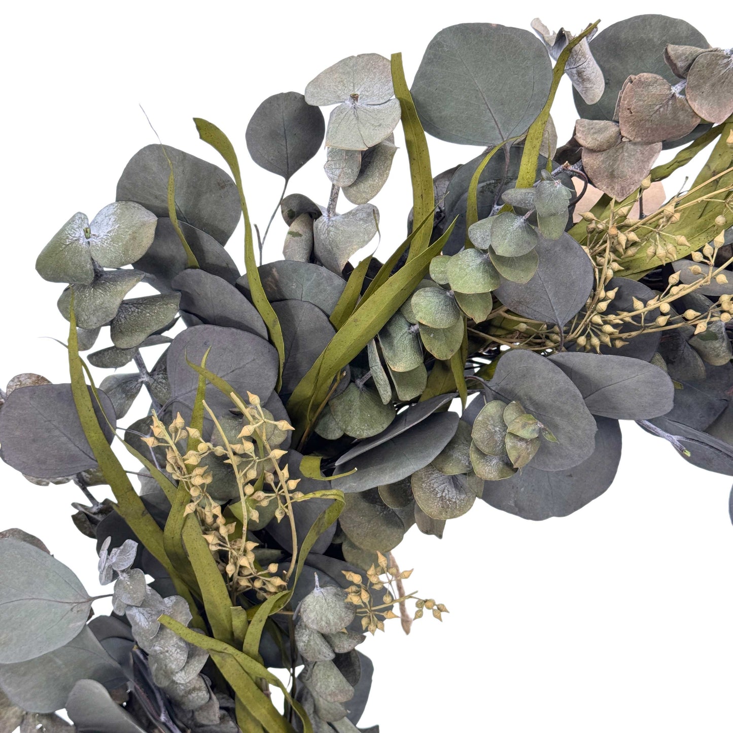 Galt Naturally Preserved Green Eucalyptus Wreath 21"